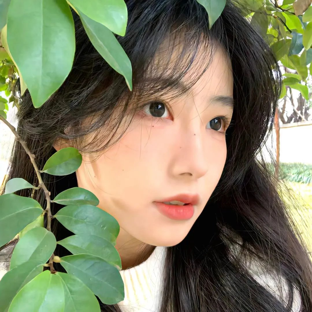 红粉贵族