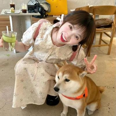 胡同猫